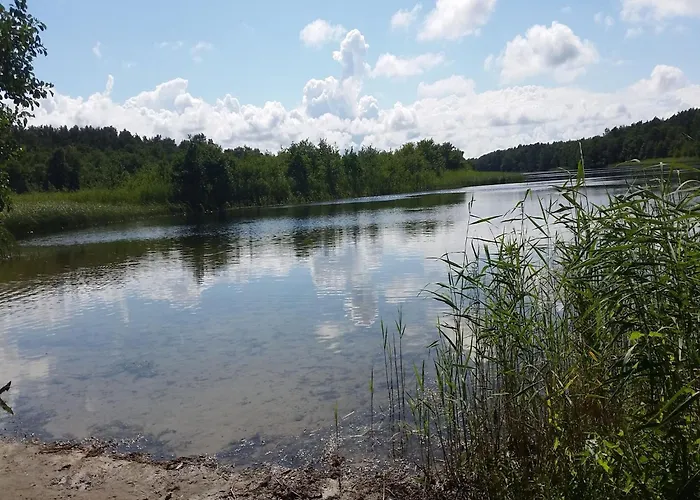 With Bbq & Garden Сasa de vacaciones